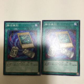2 Fusion Tags