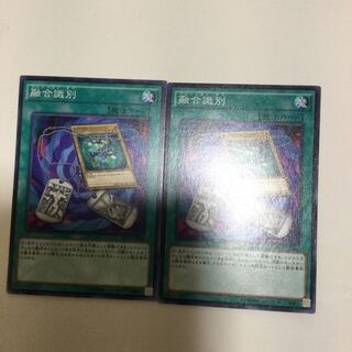 2 Fusion Tags