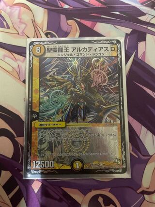 聖霊龍王 アルカディアスD