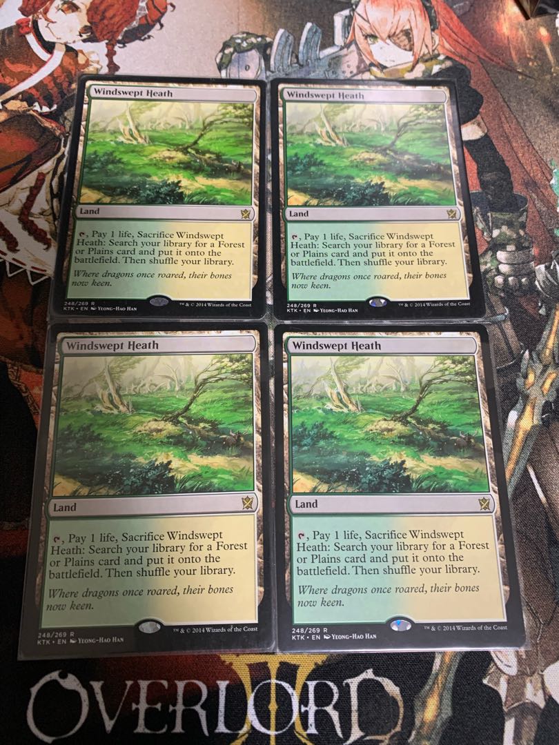 吹きさらしの荒野