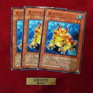 鬼ガエル ノーマル