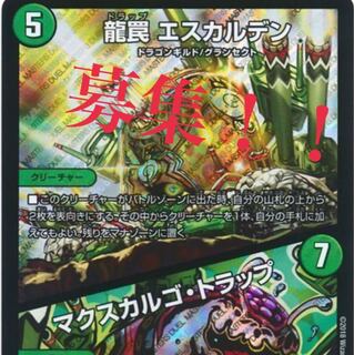 エスカルデン募集