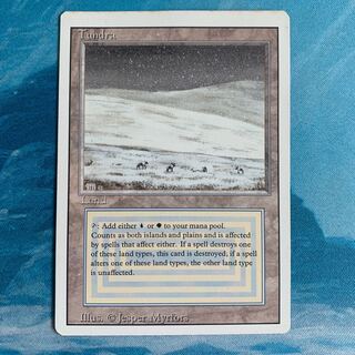 MTG Tundra (2)