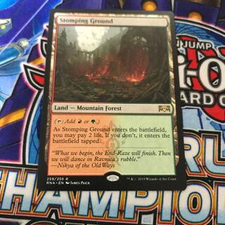 踏み鳴らされる地 英語版 1枚