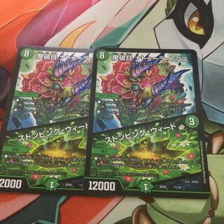 摩破目 ナトゥーラ・トプス/ストンピング・ウィード