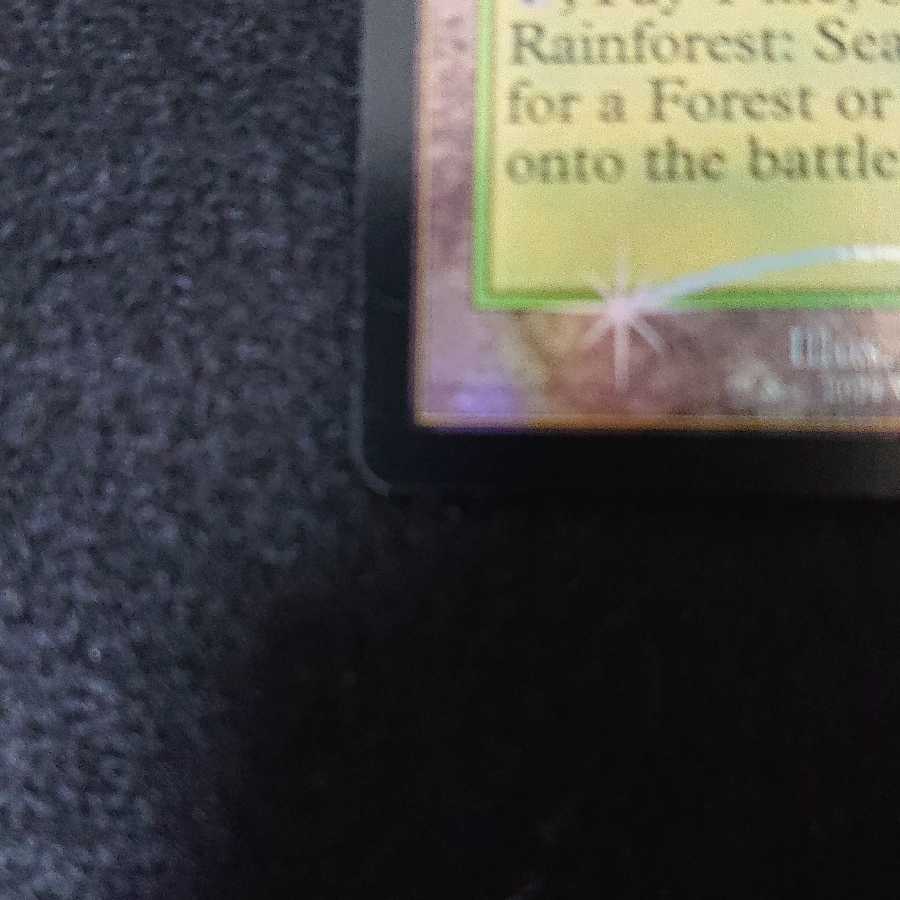 霧深い雨林 旧枠Foil