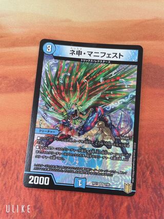 ネ申・マニフェスト