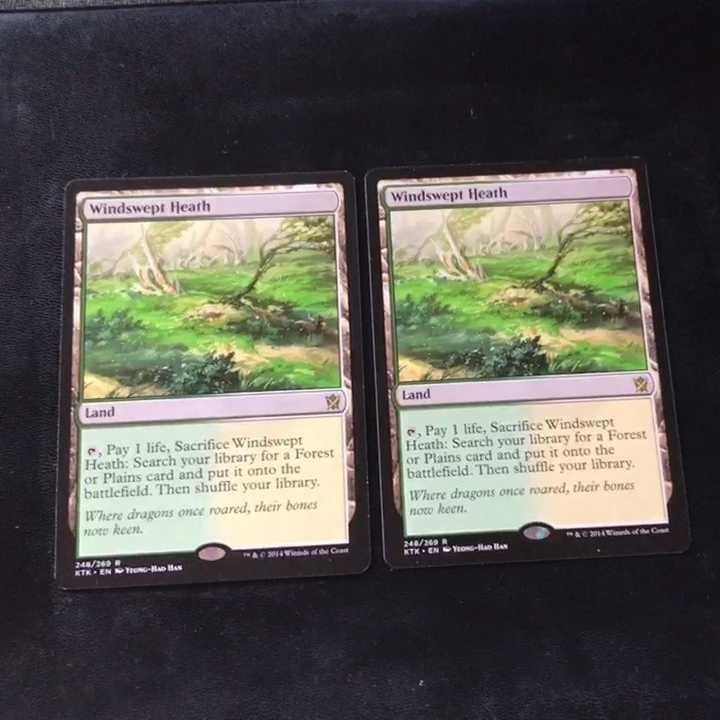 吹きさらしの荒野