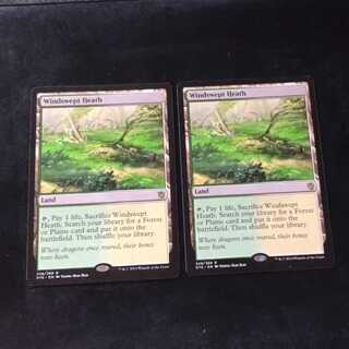 吹きさらしの荒野