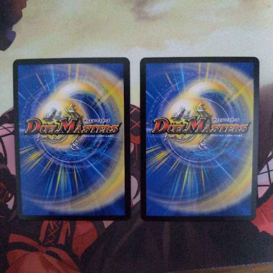 龍風混成 ザーディクリカ