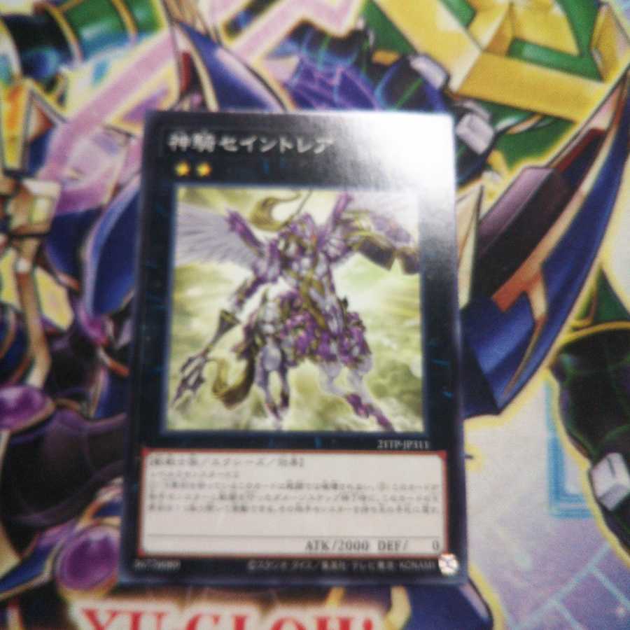 Sky Cavalry Centaurea Normal