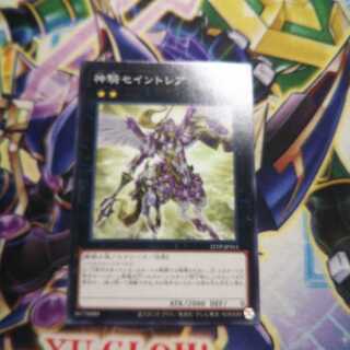 Sky Cavalry Centaurea Normal