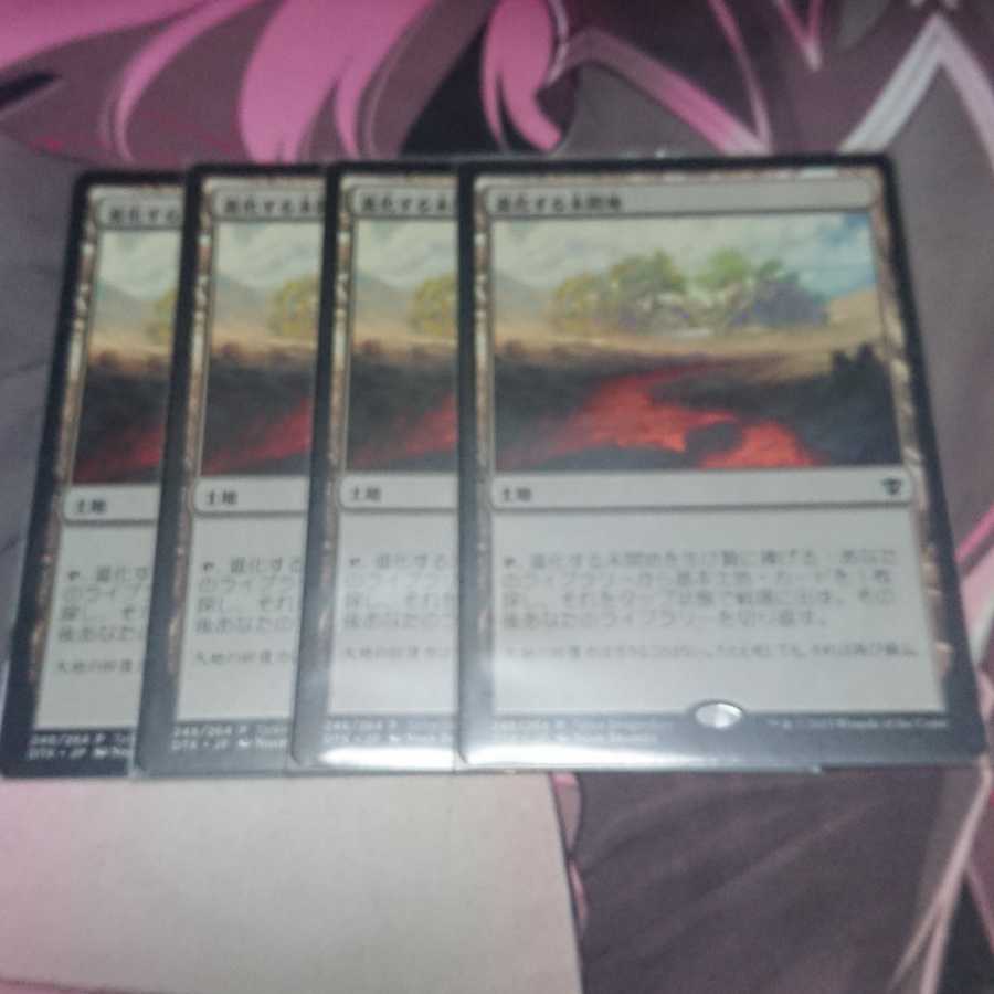 進化する未開地 4枚