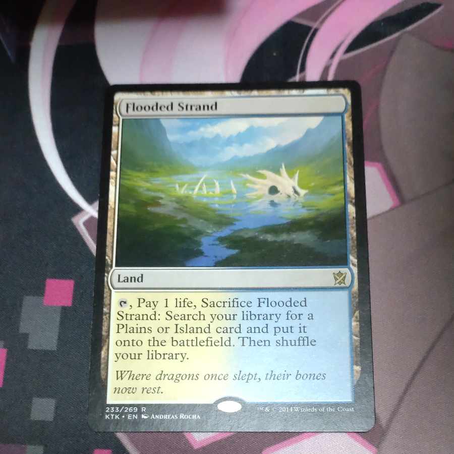 Flooded Strand Rare 233/269