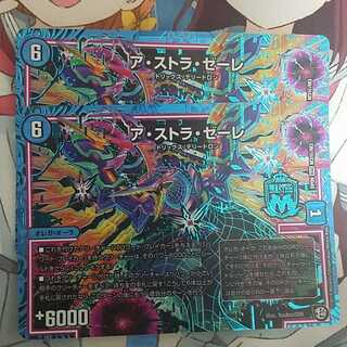 アストラゼーレシク2枚セット