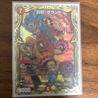 "Punishment Rage" brand (20th SP rare spec.)