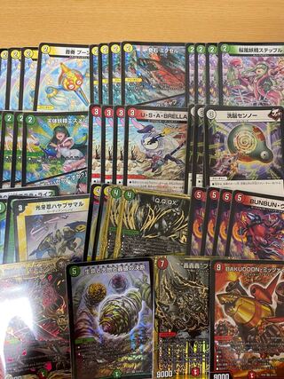 リースヴァイカー ネイチャーつきません。