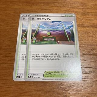 ターフスタジアム2枚