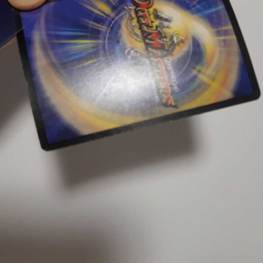 勝負君様専用 コーライルとセット