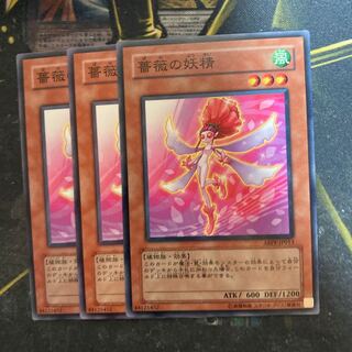 マドレース5725薔薇の妖精 ノーマル