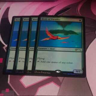 極楽鳥 secret lair Foil 4枚 4枚