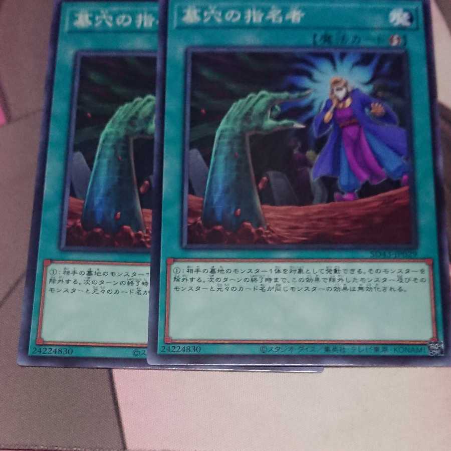 墓穴の指名者 ノーマル 2枚