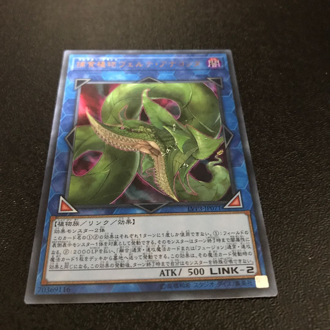 捕食植物ヴェルテ・アナコンダ ウルトラレア