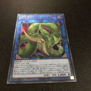 捕食植物ヴェルテ・アナコンダ ウルトラレア