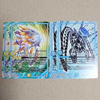 破邪の意志 ティツィ　甲殻 TS-10　各2枚