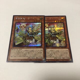 Possession Attachment - Laina Secret Rare