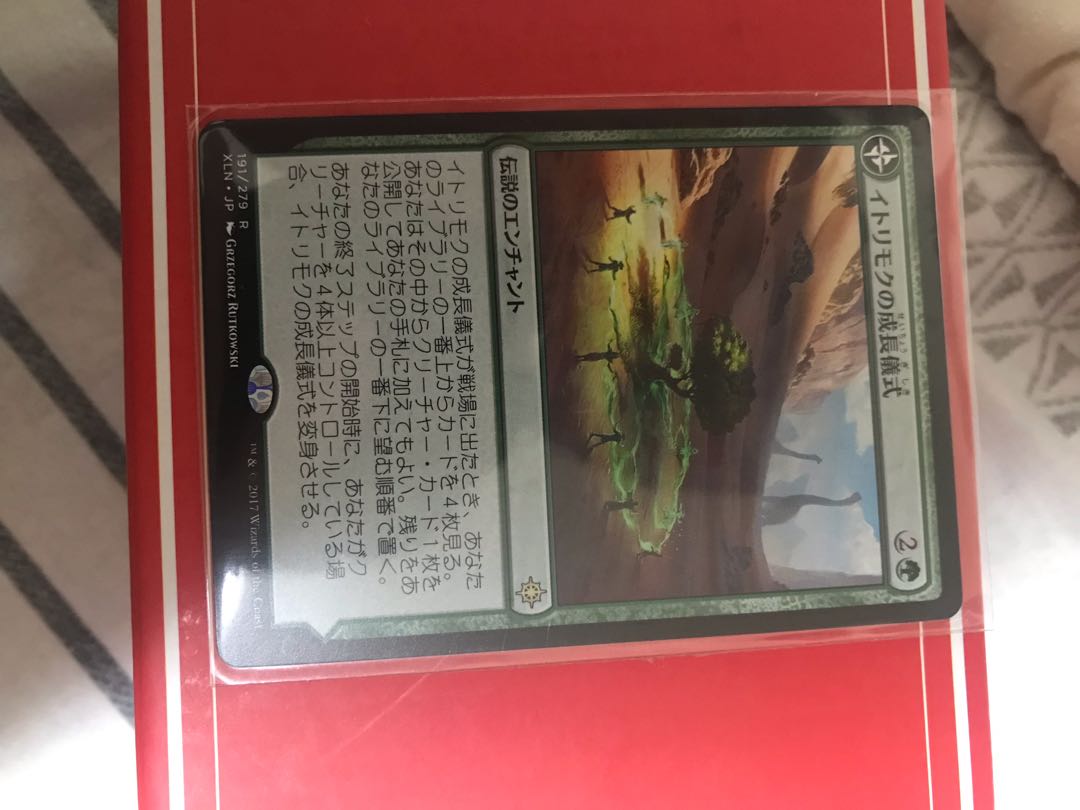 イトリモクの成長儀式