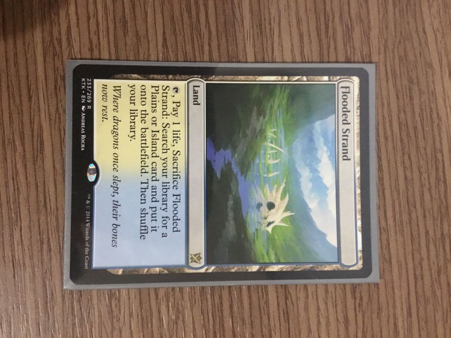 溢れかえる岸辺/Flooded Strand 英 一枚