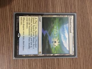 溢れかえる岸辺/Flooded Strand 英 一枚