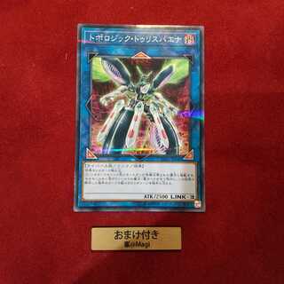 トポロジック・トゥリスバエナ パラレル ノーマル