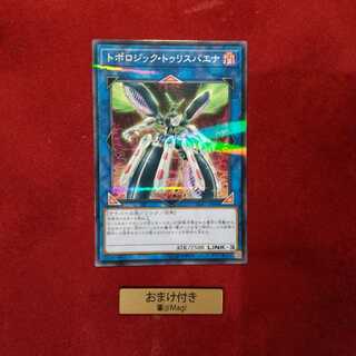 トポロジック・トゥリスバエナ パラレル ノーマル