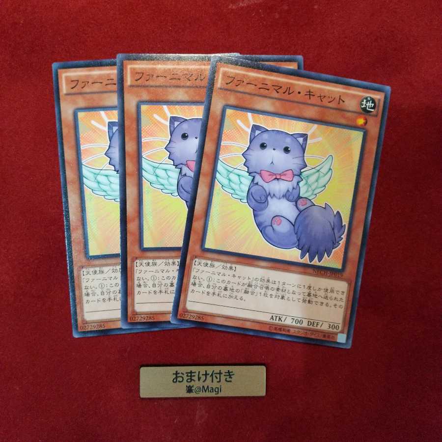 ファーニマル・キャット ノーマル