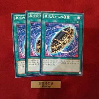 異次元からの埋葬 ノーマル