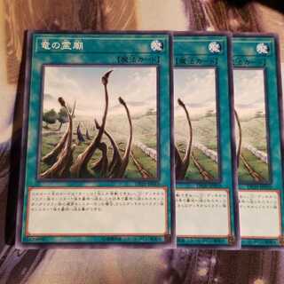 【願い事】復活の福音 竜の霊廟 ドラゴン目覚めの旋律 3枚