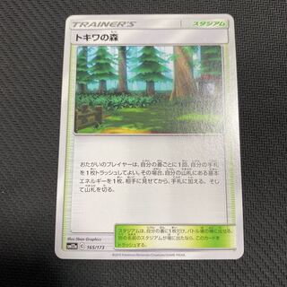 専用　トキワの森一枚