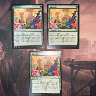 【A25】楽園の拡散（日）3枚セット