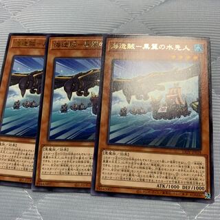 海造賊-黒翼の水先人 レア