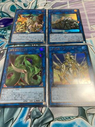 捕食植物ヴェルテ・アナコンダ ウルトラレア