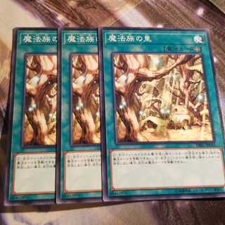 【願い事】魔法族の里 3枚