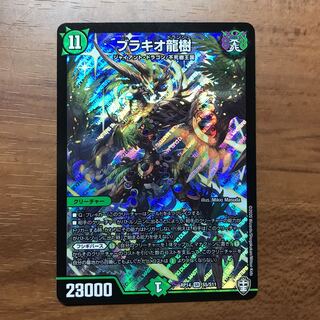 【最安値】ブラキオ龍樹