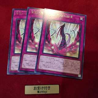 漆黒の薔薇の開華 レア