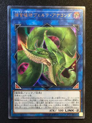 遊戯王　捕食植物ヴェルテ・アナコンダ　UR