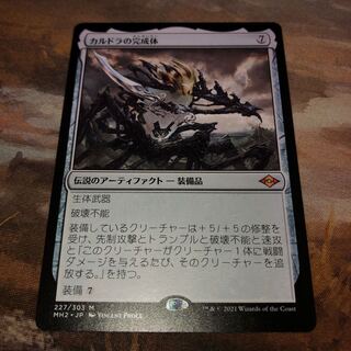 カルドラの完成体　1枚