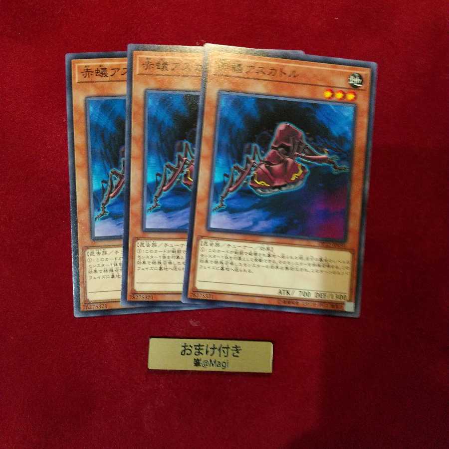 赤蟻アスカトル ノーマル