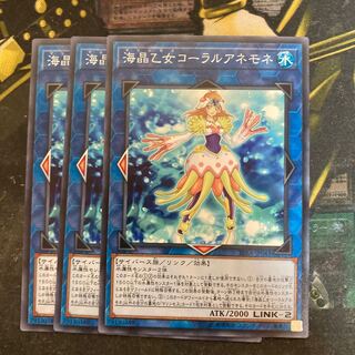 マドレース5767海晶乙女コーラルアネモネ ノーマル