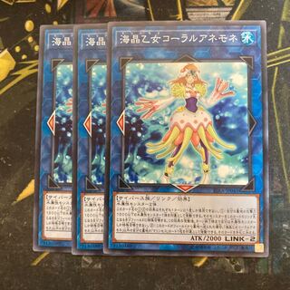 マドレース5771海晶乙女コーラルアネモネ ノーマル